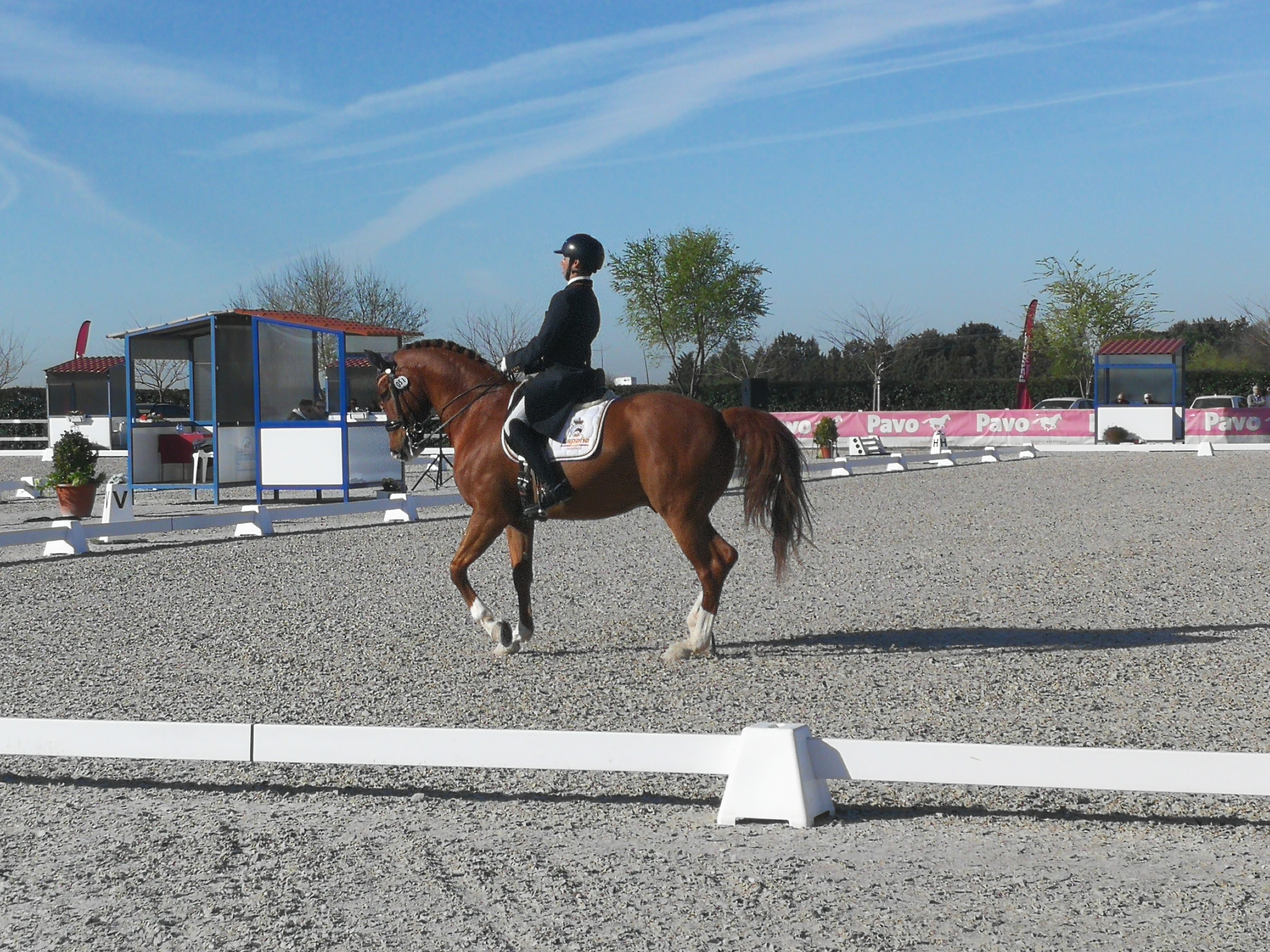 &Eacute;xito del Jinete Navarro Diego Mart&iacute;nez del Moral en el Concurso Internacional de Doma Cl&aacute;sica U25, celebrado en la escuela de equitaci&oacute;n de las Cadenas